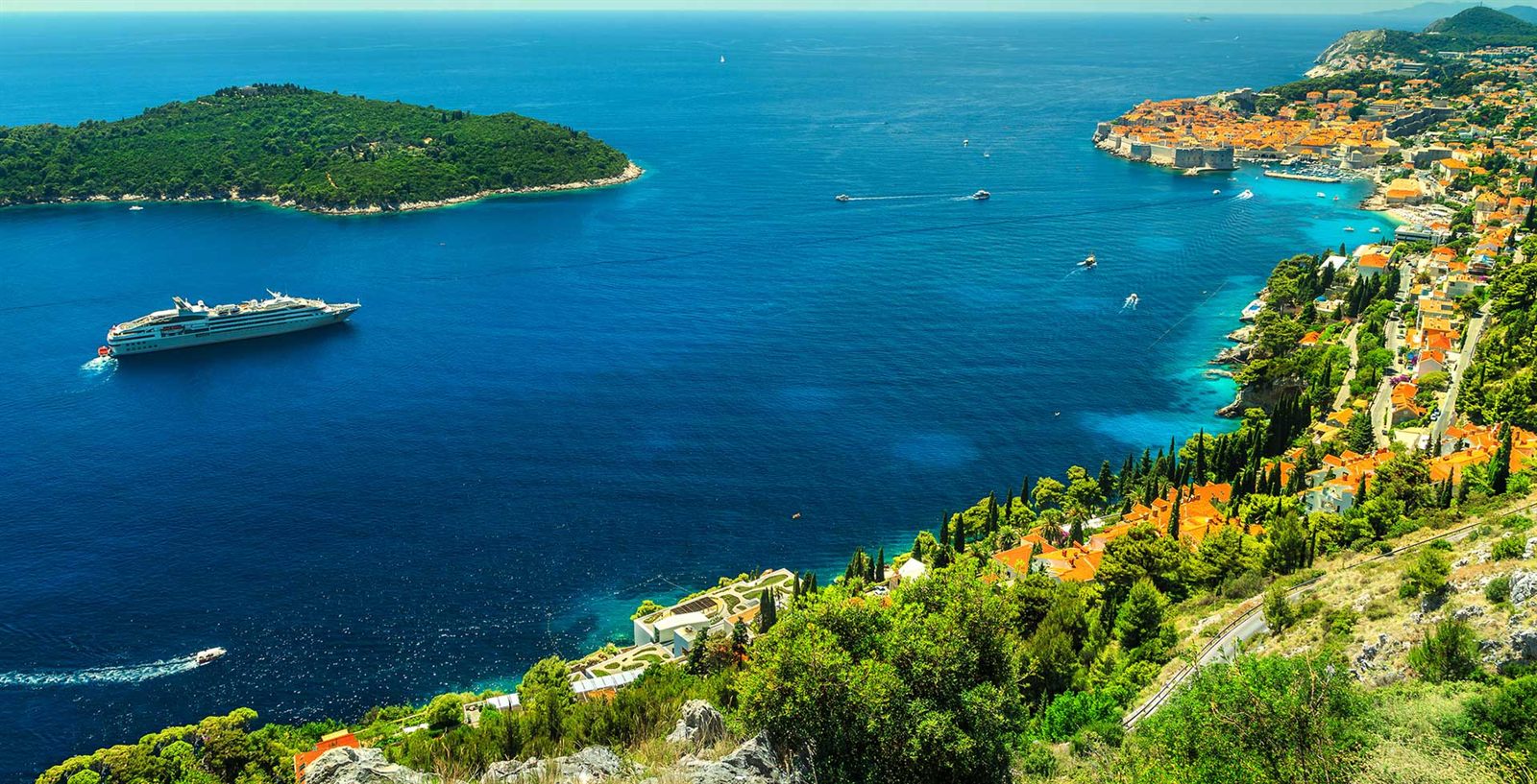 Cruise ship off a green coastline